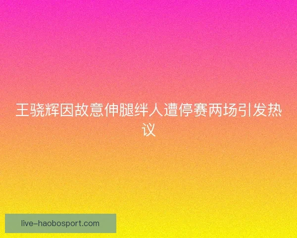 王骁辉因故意伸腿绊人遭停赛两场引发热议